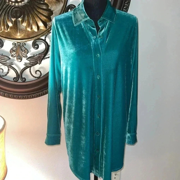 Soft Surroundings Women’s Velvet Mint Green Boyfriend Tunic Top Blouse Medium - Picture 2 of 14
